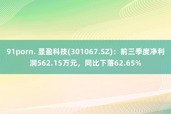 91porn. 显盈科技(301067.SZ)：前三季度净利润562.15万元，同比下落62.65%