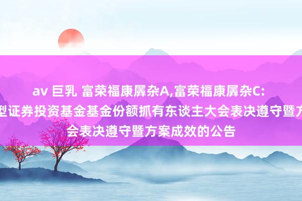 av 巨乳 富荣福康羼杂A,富荣福康羼杂C: 富荣福康羼杂型证券投资基金基金份额抓有东谈主大会表决遵守暨方案成效的公告