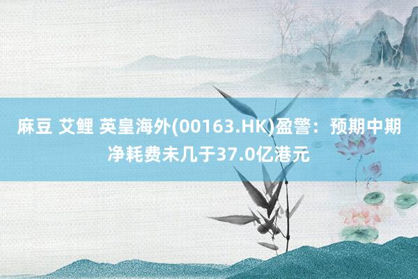 麻豆 艾鲤 英皇海外(00163.HK)盈警：预期中期净耗费未几于37.0亿港元