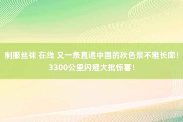 制服丝袜 在线 又一条直通中国的秋色景不雅长廊！3300公里闪避大批惊喜！