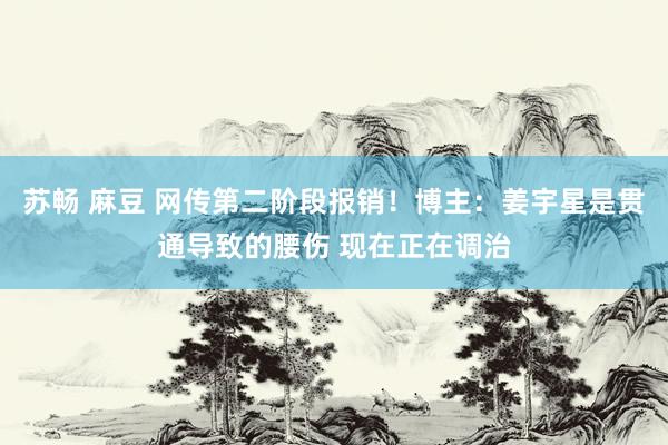 苏畅 麻豆 网传第二阶段报销！博主：姜宇星是贯通导致的腰伤 现在正在调治