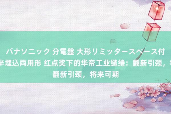 パナソニック 分電盤 大形リミッタースペース付 露出・半埋込両用形 红点奖下的华帝工业缱绻：翻新引颈，将来可期