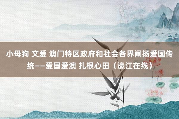 小母狗 文爱 澳门特区政府和社会各界阐扬爱国传统——爱国爱澳 扎根心田（濠江在线）