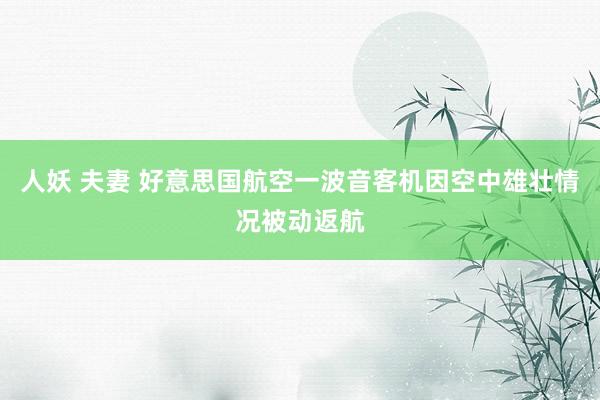 人妖 夫妻 好意思国航空一波音客机因空中雄壮情况被动返航