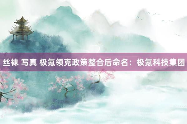 丝袜 写真 极氪领克政策整合后命名：极氪科技集团