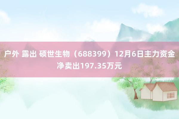 户外 露出 硕世生物（688399）12月6日主力资金净卖出197.35万元
