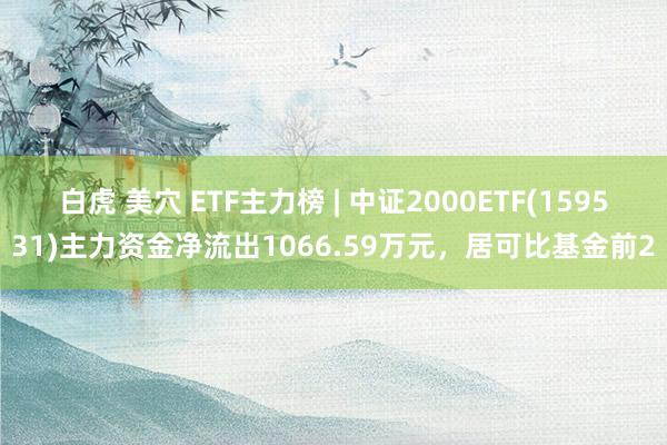 白虎 美穴 ETF主力榜 | 中证2000ETF(159531)主力资金净流出1066.59万元，居可比基金前2