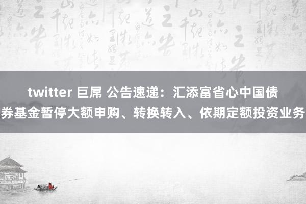twitter 巨屌 公告速递：汇添富省心中国债券基金暂停大额申购、转换转入、依期定额投资业务