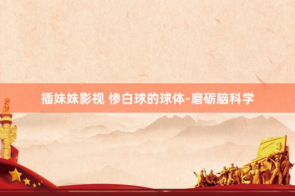 插妹妹影视 惨白球的球体-磨砺脑科学