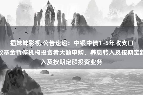插妹妹影视 公告速递：中银中债1-5年收支口行债券指数基金暂停机构投资者大额申购、养息转入及按期定额投资业务