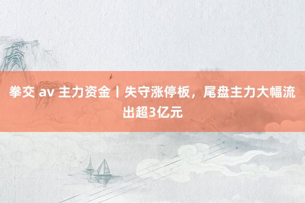 拳交 av 主力资金丨失守涨停板，尾盘主力大幅流出超3亿元