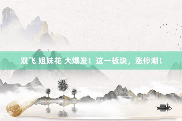 双飞 姐妹花 大爆发！这一板块，涨停潮！
