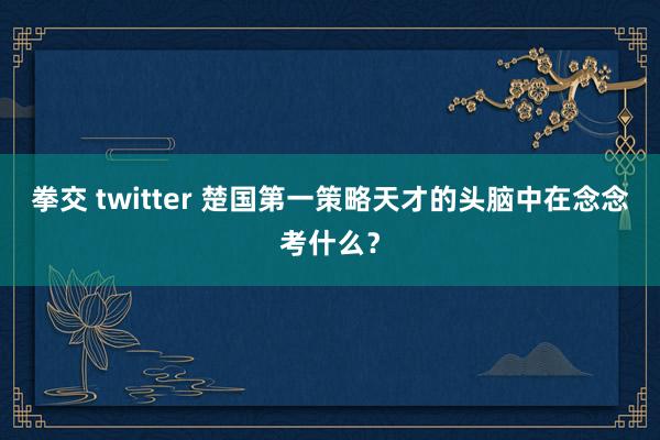 拳交 twitter 楚国第一策略天才的头脑中在念念考什么？