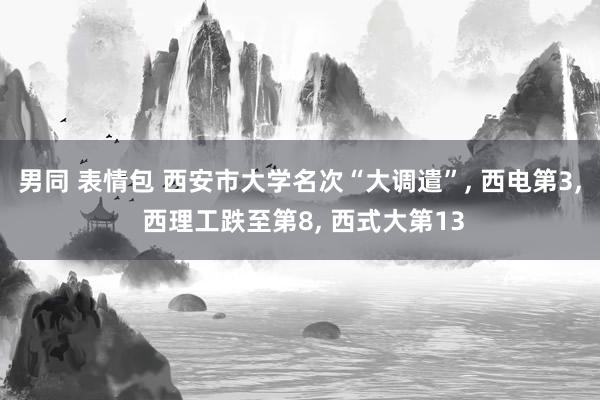 男同 表情包 西安市大学名次“大调遣”， 西电第3， 西理工跌至第8， 西式大第13