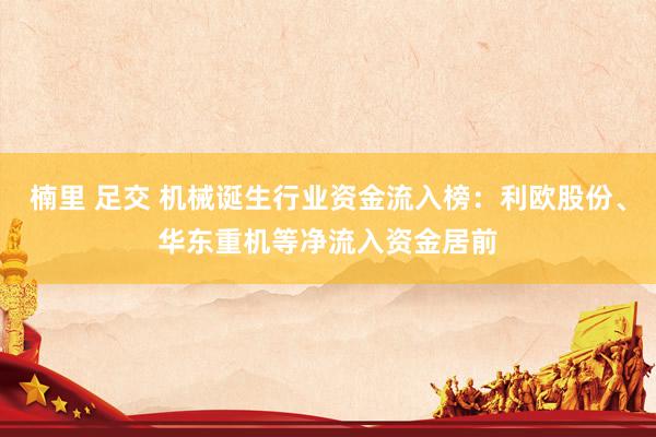 楠里 足交 机械诞生行业资金流入榜：利欧股份、华东重机等净流入资金居前