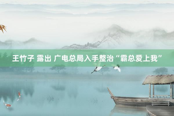 王竹子 露出 广电总局入手整治“霸总爱上我”