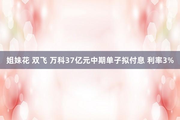 姐妹花 双飞 万科37亿元中期单子拟付息 利率3%