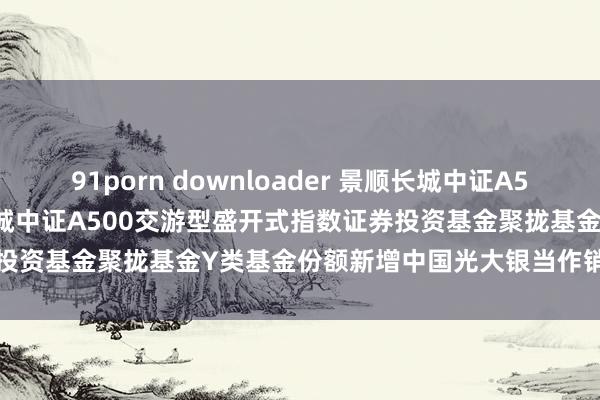 91porn downloader 景顺长城中证A500ETF聚拢Y: 对于景顺长城中证A500交游型盛开式指数证券投资基金聚拢基金Y类基金份额新增中国光大银当作销售机构的公告