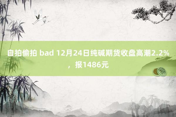 自拍偷拍 bad 12月24日纯碱期货收盘高潮2.2%，报1486元