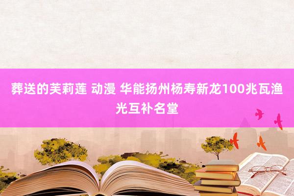 葬送的芙莉莲 动漫 华能扬州杨寿新龙100兆瓦渔光互补名堂