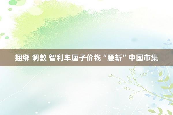 捆绑 调教 智利车厘子价钱“腰斩”中国市集