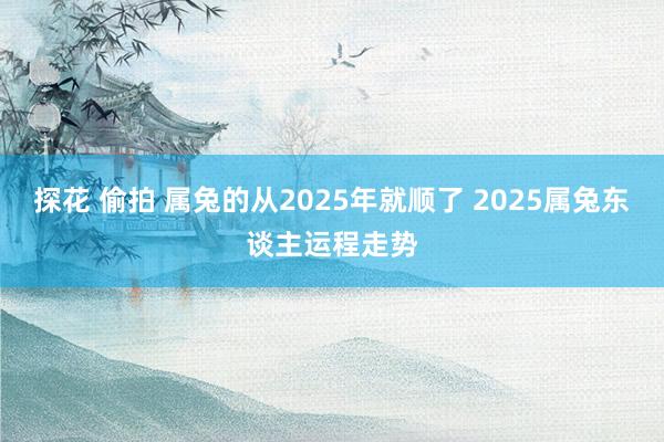 探花 偷拍 属兔的从2025年就顺了 2025属兔东谈主运程走势