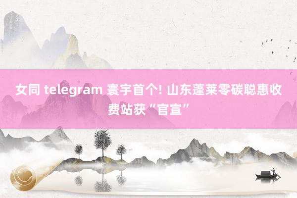 女同 telegram 寰宇首个! 山东蓬莱零碳聪惠收费站获“官宣”