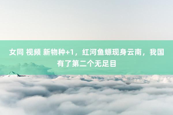 女同 视频 新物种+1，红河鱼螈现身云南，我国有了第二个无足目