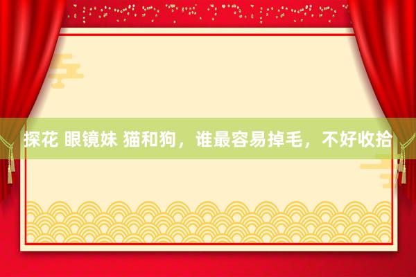 探花 眼镜妹 猫和狗，谁最容易掉毛，不好收拾