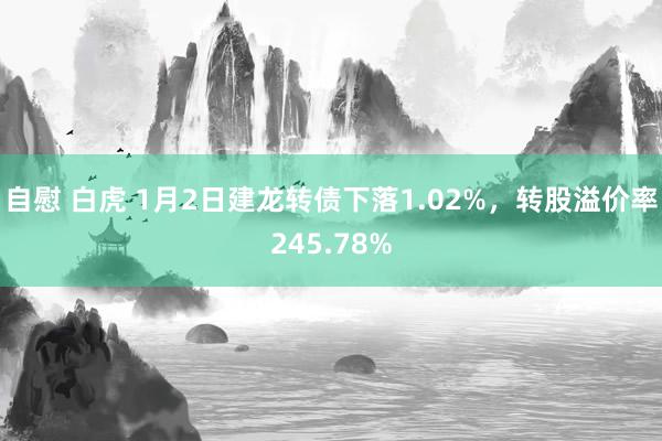 自慰 白虎 1月2日建龙转债下落1.02%，转股溢价率245.78%