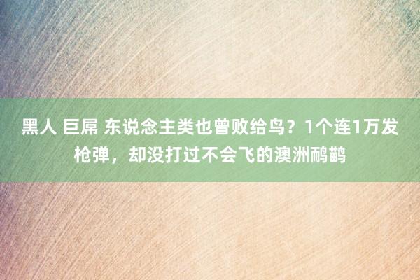 黑人 巨屌 东说念主类也曾败给鸟？1个连1万发枪弹，却没打过不会飞的澳洲鸸鹋
