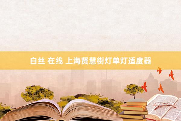 白丝 在线 上海贤慧街灯单灯适度器