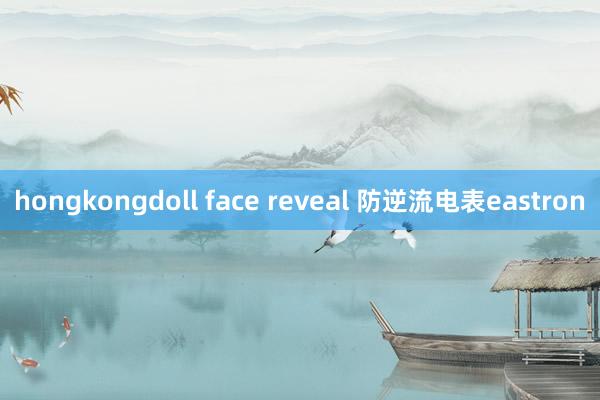hongkongdoll face reveal 防逆流电表eastron