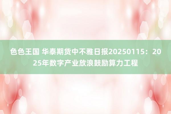 色色王国 华泰期货中不雅日报20250115：2025年数字产业放浪鼓励算力工程