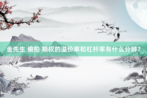 金先生 偷拍 期权的溢价率和杠杆率有什么分辨？