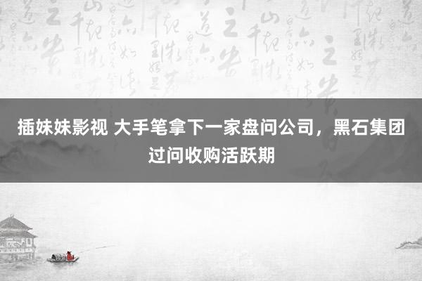 插妹妹影视 大手笔拿下一家盘问公司，黑石集团过问收购活跃期