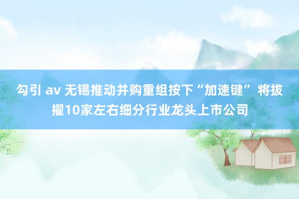 勾引 av 无锡推动并购重组按下“加速键” 将拔擢10家左右细分行业龙头上市公司
