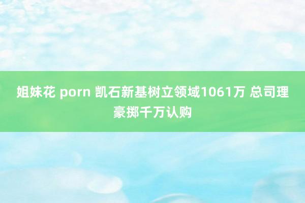 姐妹花 porn 凯石新基树立领域1061万 总司理豪掷千万认购