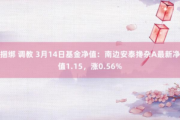 捆绑 调教 3月14日基金净值：南边安泰搀杂A最新净值1.15，涨0.56%