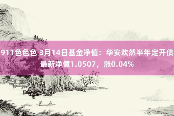 911色色色 3月14日基金净值：华安欢然半年定开债最新净值1.0507，涨0.04%