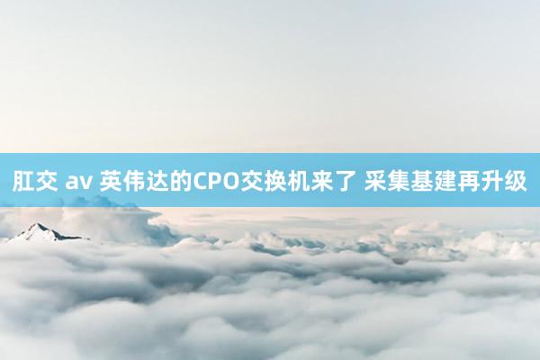 肛交 av 英伟达的CPO交换机来了 采集基建再升级