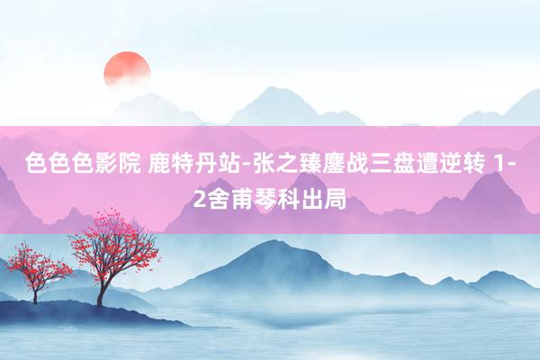 色色色影院 鹿特丹站-张之臻鏖战三盘遭逆转 1-2舍甫琴科出局