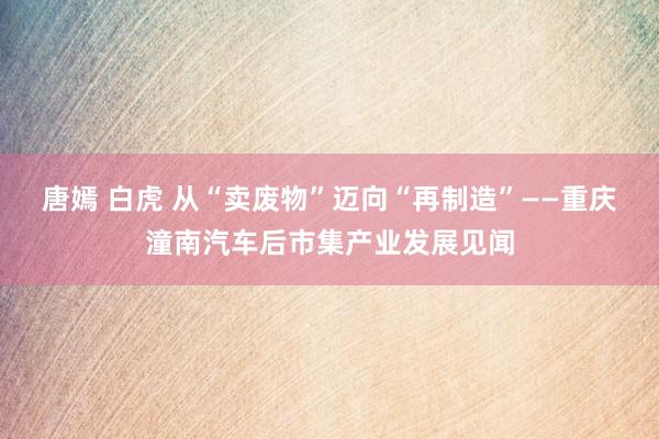 唐嫣 白虎 从“卖废物”迈向“再制造”——重庆潼南汽车后市集产业发展见闻