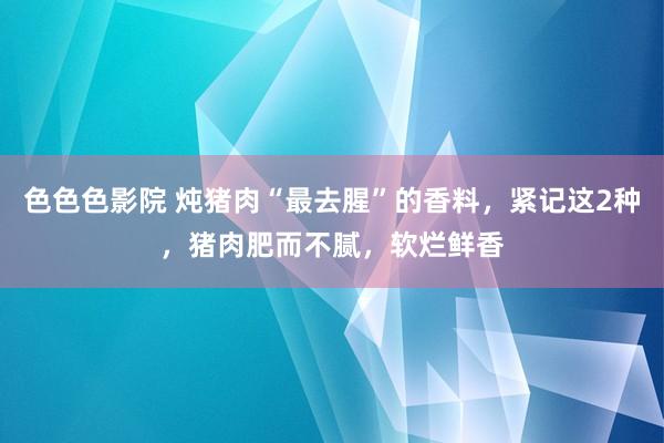 色色色影院 炖猪肉“最去腥”的香料，紧记这2种，猪肉肥而不腻，软烂鲜香