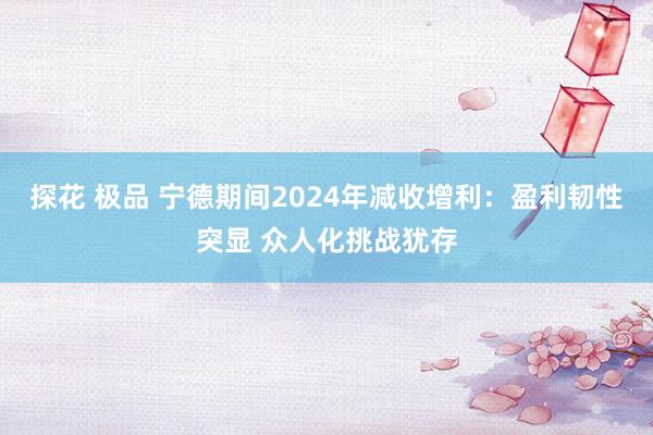 探花 极品 宁德期间2024年减收增利：盈利韧性突显 众人化挑战犹存