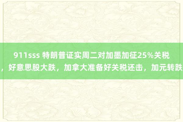 911sss 特朗普证实周二对加墨加征25%关税，好意思股大跌，加拿大准备好关税还击，加元转跌