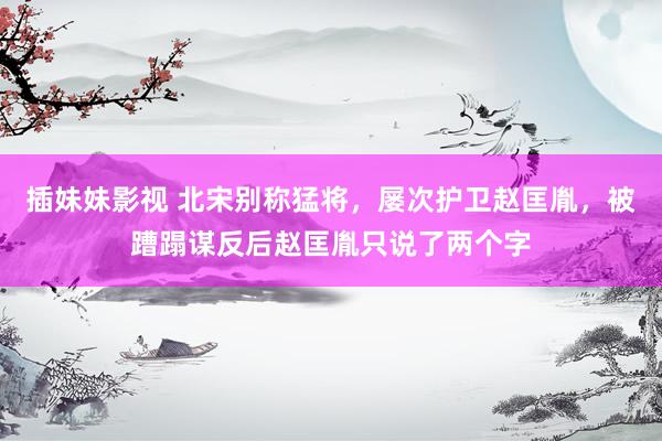 插妹妹影视 北宋别称猛将，屡次护卫赵匡胤，被蹧蹋谋反后赵匡胤只说了两个字