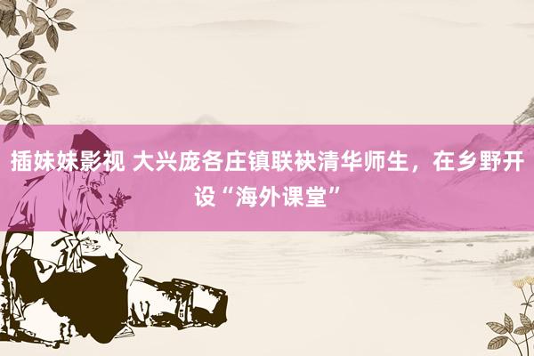 插妹妹影视 大兴庞各庄镇联袂清华师生，在乡野开设“海外课堂”