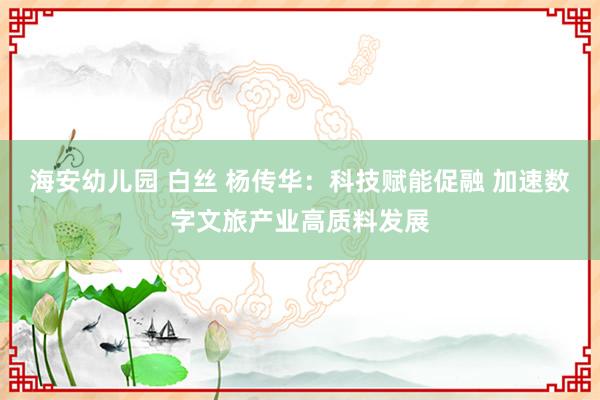 海安幼儿园 白丝 杨传华：科技赋能促融 加速数字文旅产业高质料发展
