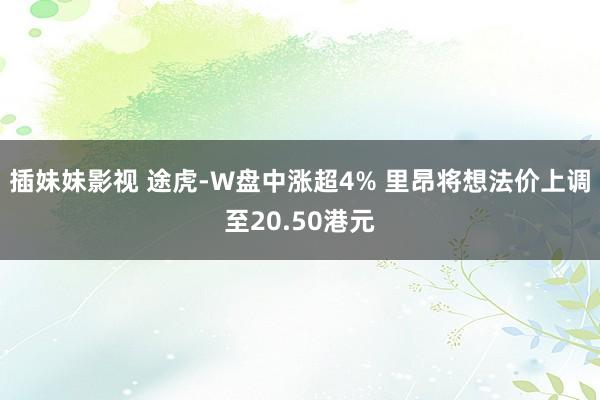 插妹妹影视 途虎-W盘中涨超4% 里昂将想法价上调至20.50港元